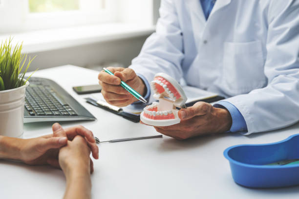 Professional Holistic Dental Care Services in Schoolcraft, MI